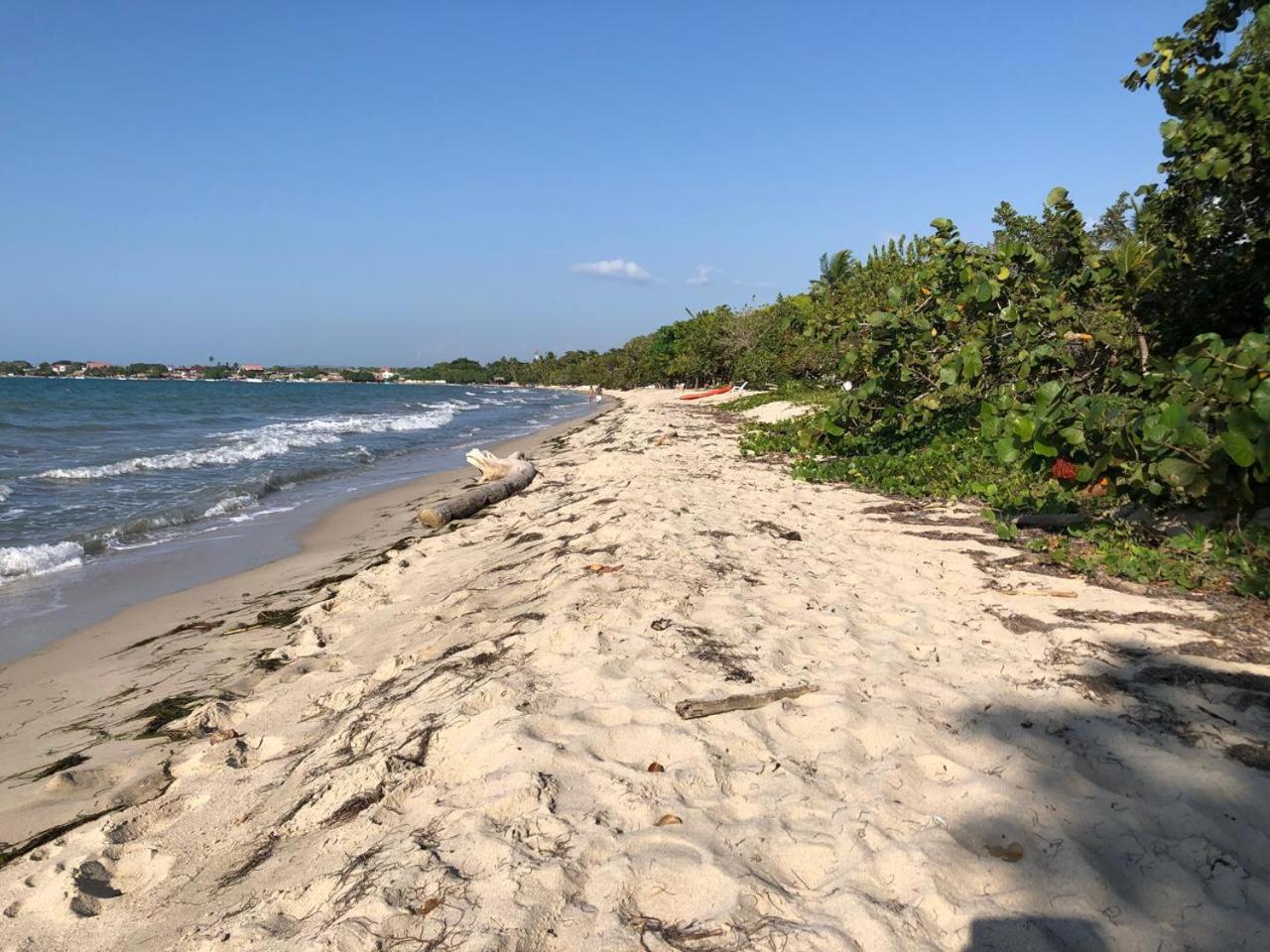 Bamboo Rincon Del Mar Ξενοδοχείο San Onofre Εξωτερικό φωτογραφία