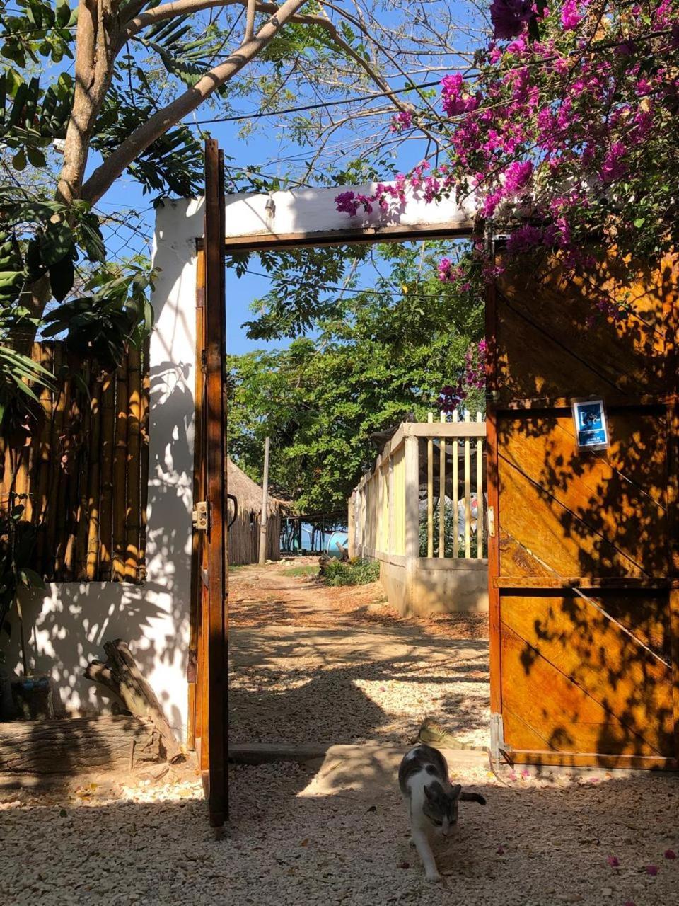 Bamboo Rincon Del Mar Ξενοδοχείο San Onofre Εξωτερικό φωτογραφία